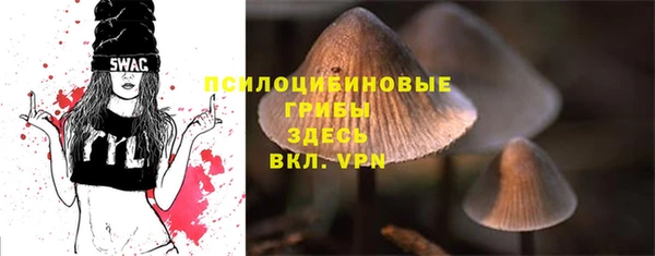 герыч Вязьма
