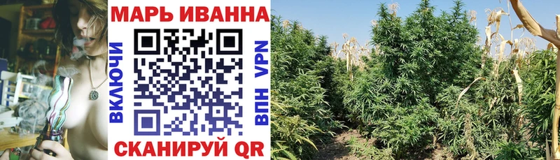 Купить  Белореченск  Каннабис Amnesia 
